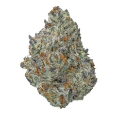 top 10 indica cannabis strains for relaxation e