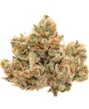 top 10 indica cannabis strains for relaxation g