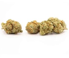 top 5 hybrid strains for balanced effects can
