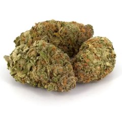 top 5 hybrid strains for balanced effects pi