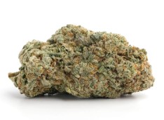 top cannabis seeds for arizona desert conditions e