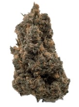 top cannabis seeds for arizona desert conditions f