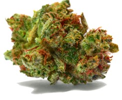 top cannabis seeds for arizona desert conditions g