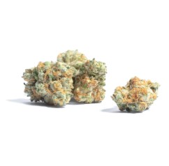 what are some other names for marijuana f