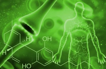 what class of drug is marijuana b