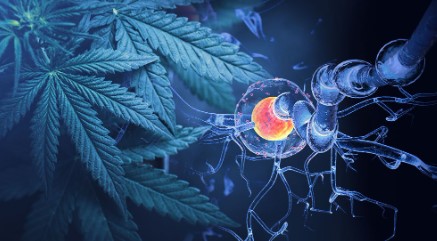 what is medical marijuana b