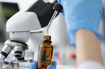 what is the active ingredient in marijuana d