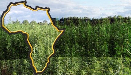 where is marijuana legal 2024 b