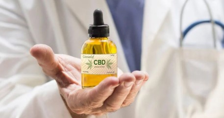 where to get marijuana seeds f