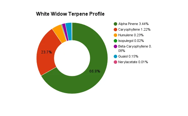 white widow terpene profile