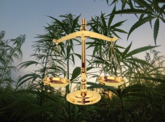 Why is marijuana illegal