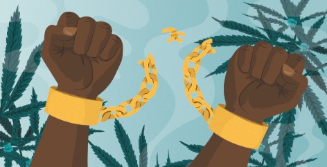 why is marijuana illegal g