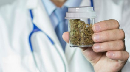 why royal king seeds is a top cannabis seed brand c