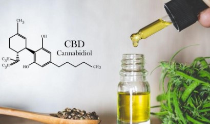 why royal king seeds is a top cannabis seed brand d